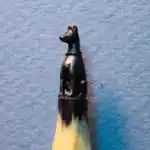 Chien - Cette mine représente un chien assis.