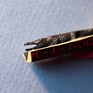 Crocodile - Cette mine représente un crocodile en long.