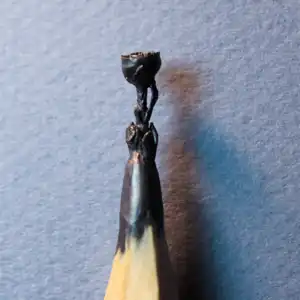 Rose - Cette mine représente une rose.